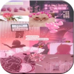 pink wallpaper android application logo